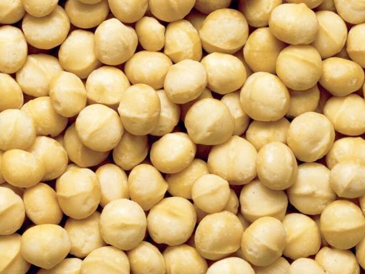 Macadamia's